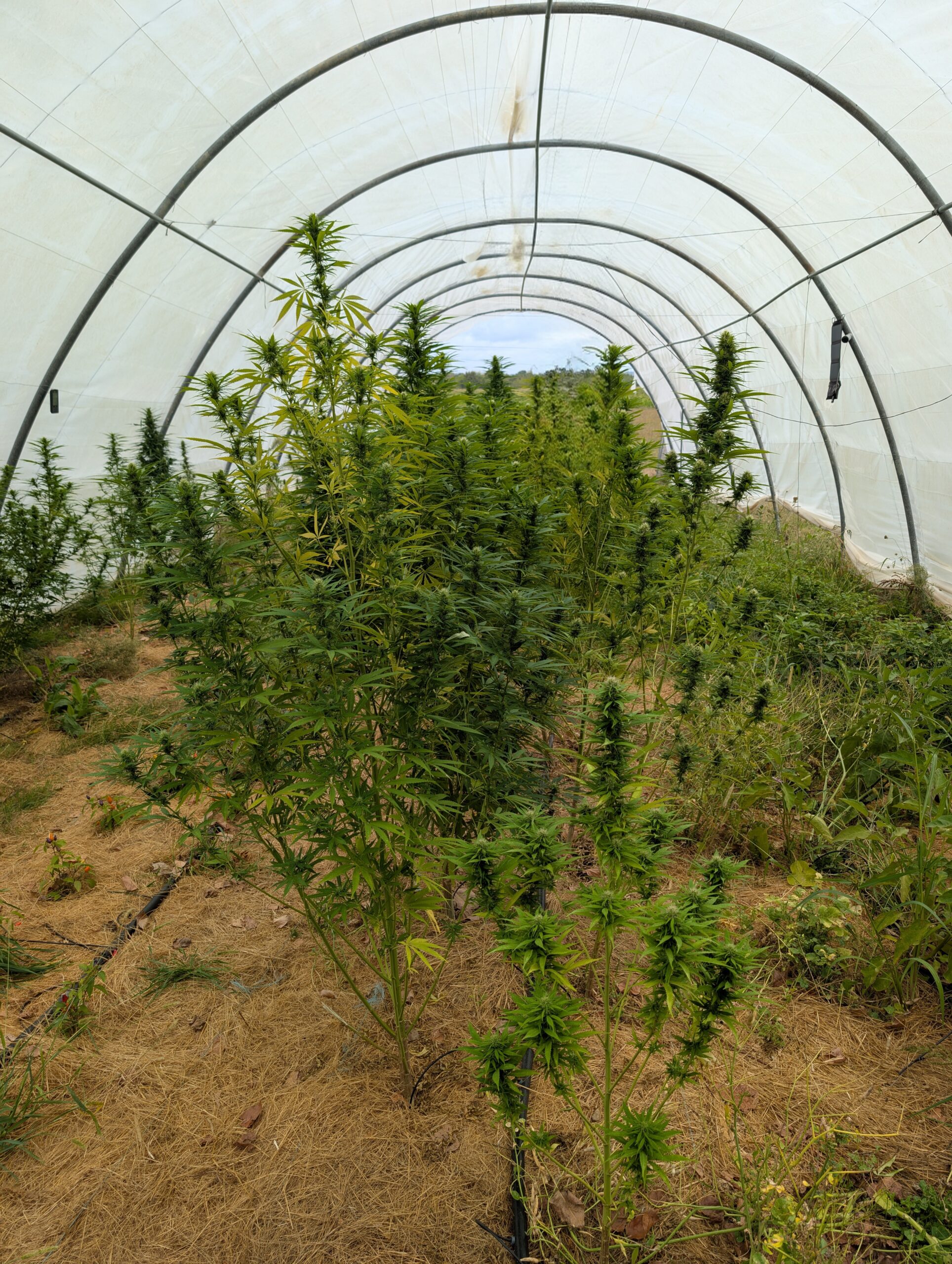 PXL_20250912_101834328~2