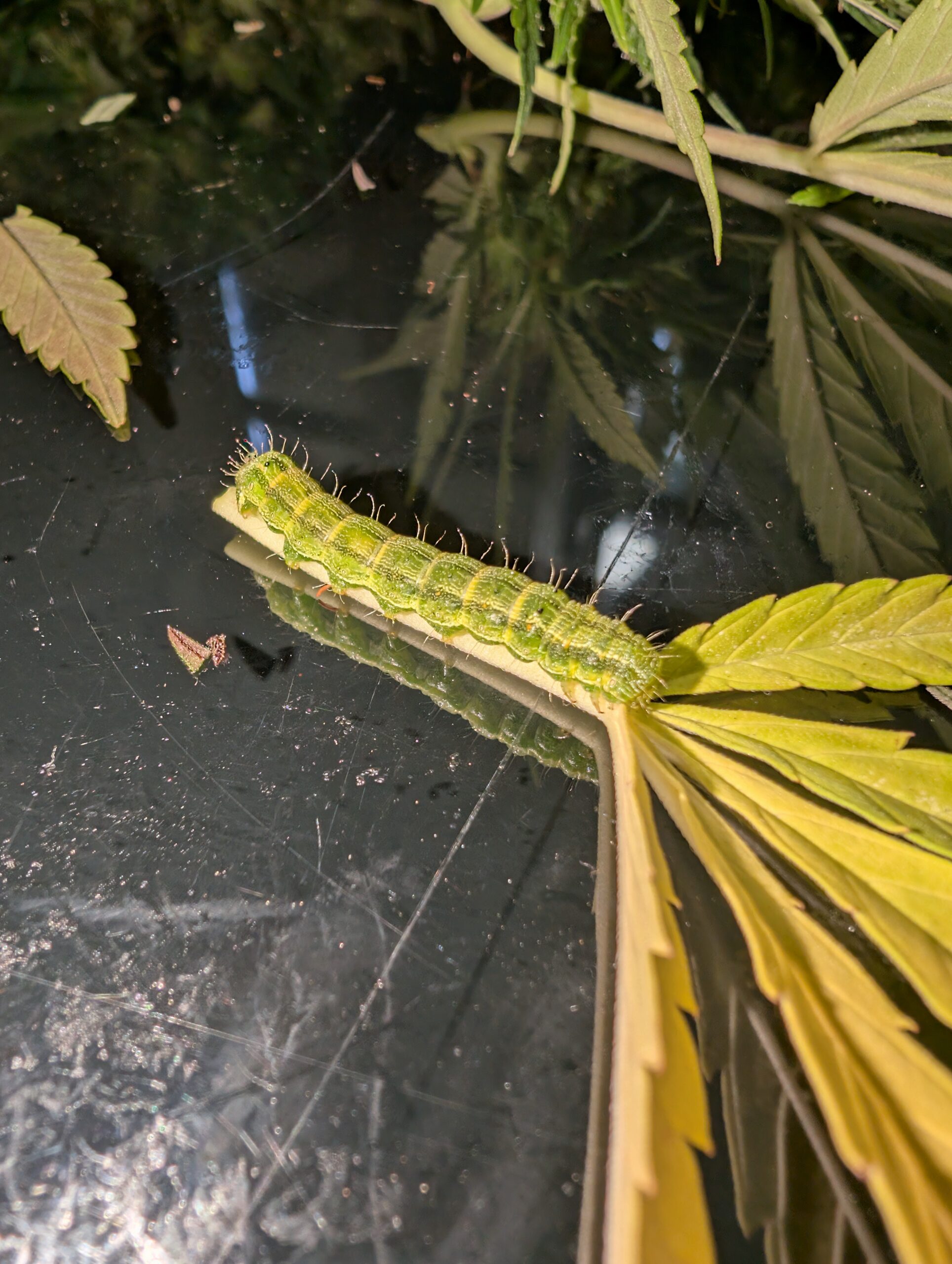 PXL_20251001_084726439