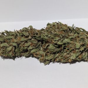 Western Cherry - Serre - 2025