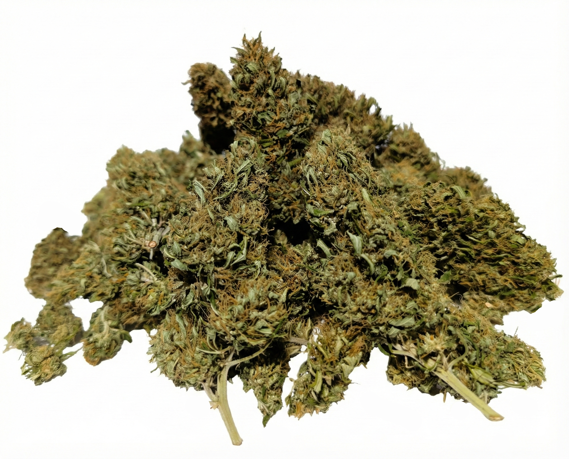 Arizona Dream - Serre - 2025 – Image 3