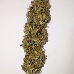 Arizona Dream - Serre - 2025